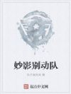 妙影别动队